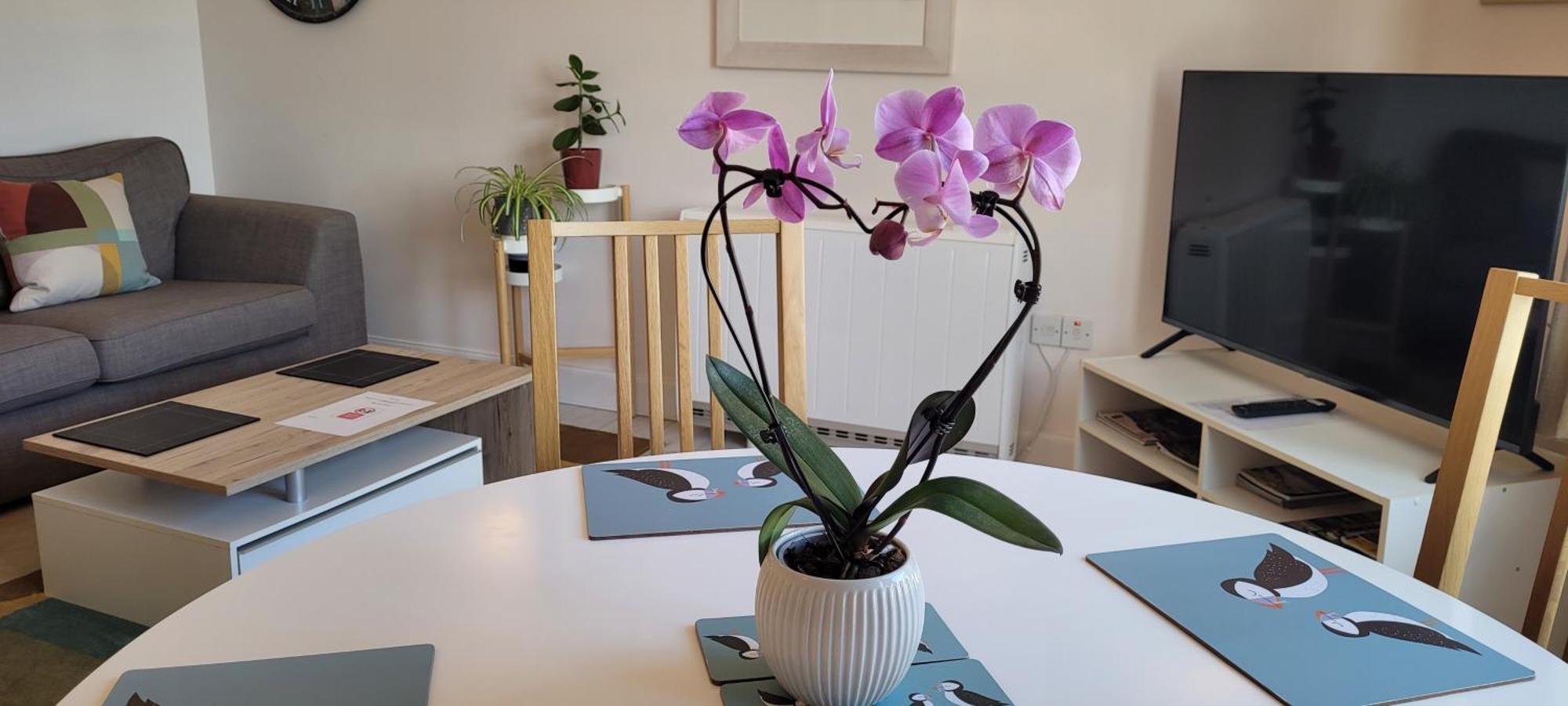 Heart Of Inverness-City Apartment Esterno foto